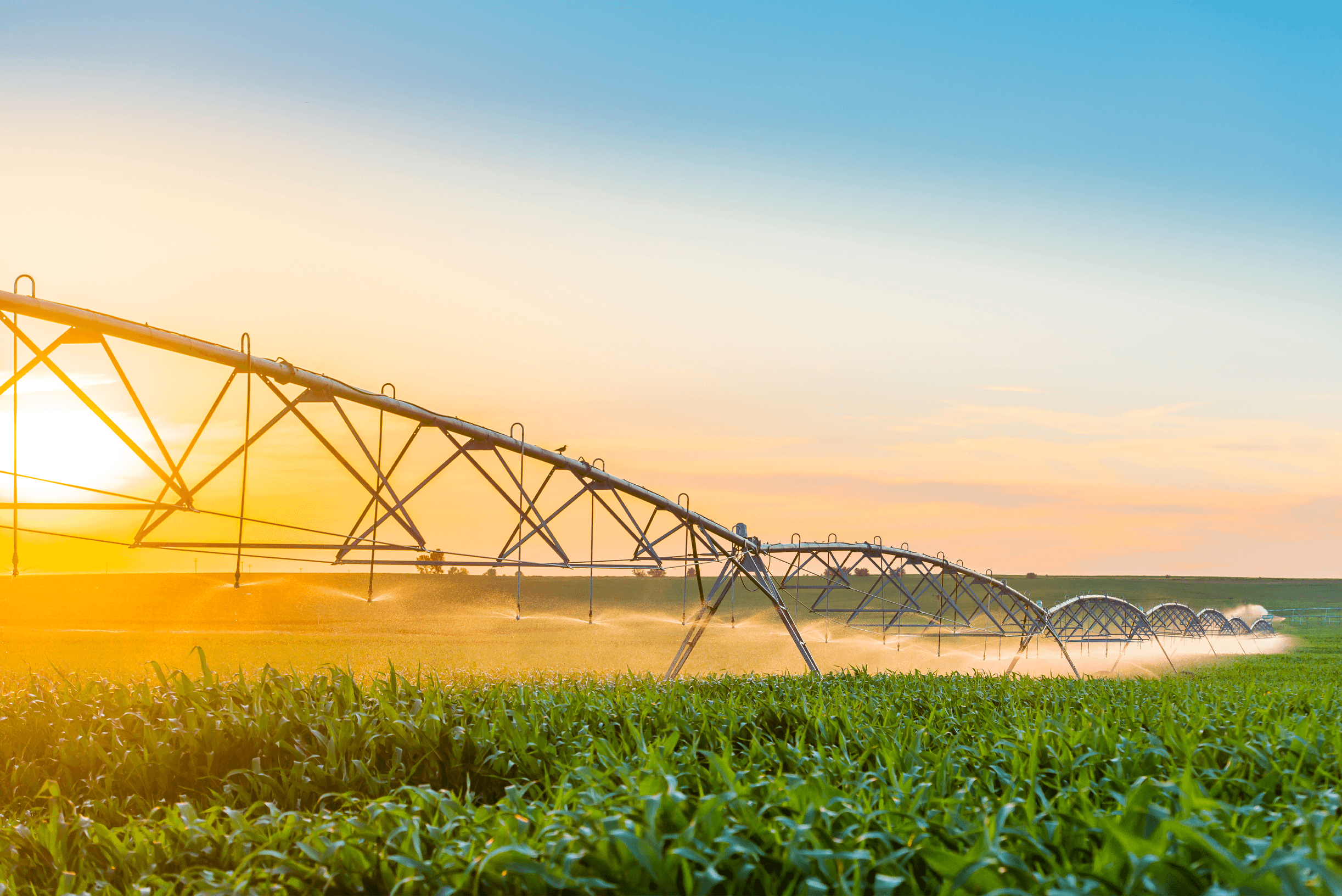 field irrigation