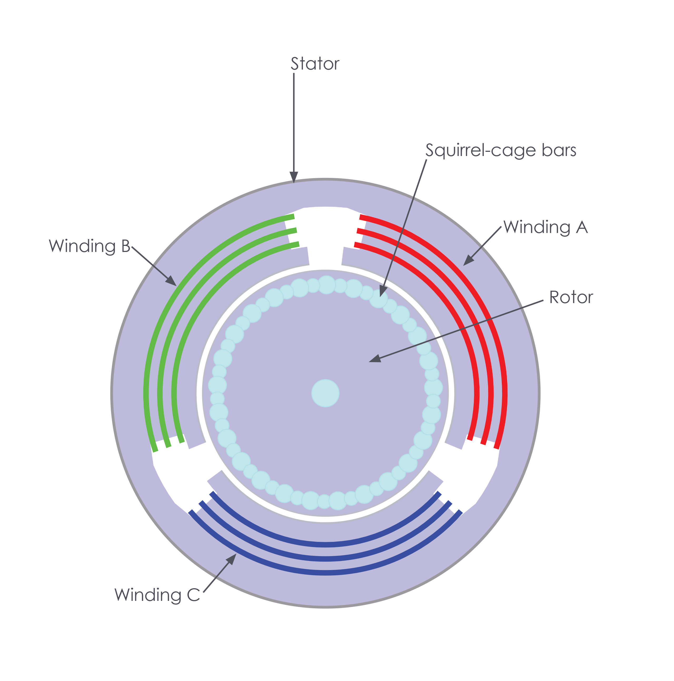 Cross section of a three-phase squirrel-cage induction motor, showing stator windings A, B and C and the rotor